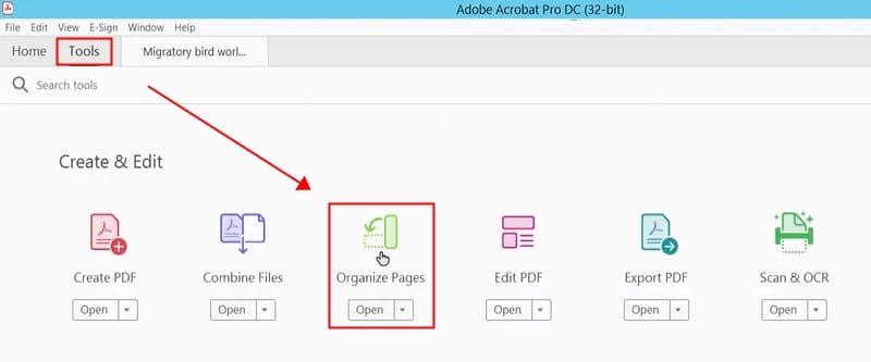 open pdf, select tools and hit organize pages